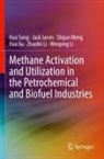 Jack Jarvis, Wenping Li, Zhaofei Li, Shijun Meng, Shijun et al Meng, Hua Song... - Methane Activation and Utilization in the Petrochemical and Biofuel Industries