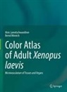 Alois Lametschwandtner, Bernd Minnich - Color Atlas of Adult Xenopus laevis