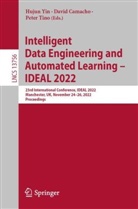 David Camacho, Peter Tino, Hujun Yin - Intelligent Data Engineering and Automated Learning - IDEAL 2022