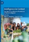D Preiss, Robert J Sternberg, David D. Preiss, Robert J. Sternberg - Intelligence in Context