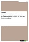 Tim Bothe - Möglichkeiten zur Abwendung einer Überschuldung von Start-ups im Sinne der Insolvenzordnung
