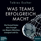 Tobias Escher, Oliver Dupont - Was Teams erfolgreich macht, 1 Audio-CD, MP3 (Hörbuch)