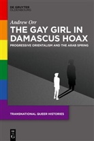 Andrew Orr - The Gay Girl in Damascus Hoax