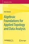 Hal Schenck - Algebraic Foundations for Applied Topology and Data Analysis