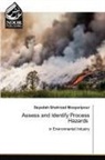 Seyedeh Shahrzad Moayeripour - Assess and Identify Process Hazards