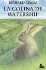 La colina de Watership