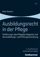 Peter Kostorz - Ausbildungsrecht in der Pflege