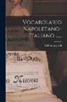 Raffaele Andreoli - Vocabolario Napoletano-italiano
