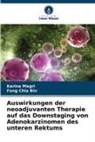 Fang Chia Bin, Karina Magri - Auswirkungen der neoadjuvanten Therapie auf das Downstaging von Adenokarzinomen des unteren Rektums