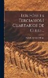 Rodolfo Amando Philippi - Los Fósiles Terciarios I Cuartarios De Chile