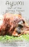 Nik Forster - Ayumi Girl of the Borneo Forest