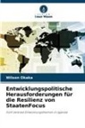 Wilson Okaka - Entwicklungspolitische Herausforderungen für die Resilienz von StaatenFocus
