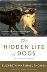 Elizabeth Marshall Thomas - Hidden Life of Dogs, The