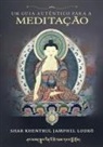 Shar Khentrul Jamphel Lodrö - Um Guia Autêntico para a Meditação