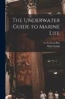 Elgin Ciampi, G. Carleton Ray - The Underwater Guide to Marine Life