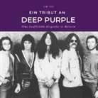 Tom Volz - Ein Tribut an <br> Deep Purple