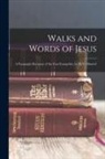 Anonymous - Walks and Words of Jesus: A Paragraph Harmony of the Four Evangelists, by M.N. Olmsted