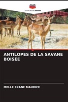 Melle Ekane Maurice - ANTILOPES DE LA SAVANE BOISÉE