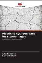 Arka Banerjee, Rajeev Ranjan - Plasticité cyclique dans les superalliages