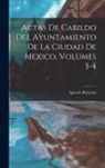 Ignacio Bejarano - Actas De Cabildo Del Ayuntamiento De La Ciudad De Mexico, Volumes 3-4