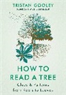 Tristan Gooley - How to Read a Tree