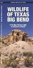 Waterford Press - Wildlife of Texas Big Bend