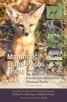Stephen Kasper, Richard W Manning, David J Schmidly, David J. Schmidly, Franklin D Yancey, Franklin D. Yancey... - The Mammals of Trans-pecos Texas