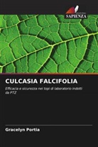 Gracelyn Portia - CULCASIA FALCIFOLIA