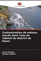 Javed Ahmed, Sundus Akhtar - Contamination de métaux lourds dans l'eau du robinet du district de Kasur