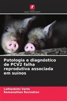 Ramanathan Ravindran, Laltlankimi Varte - Patologia e diagnóstico de PCV2 falha reprodutiva associada em suínos