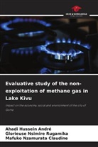 Ahadi Hussein André, Mafuko Nzamurata Claudine, Glorieuse Nsimire Rugamika - Evaluative study of the non-exploitation of methane gas in Lake Kivu