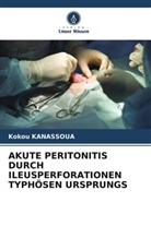 Kokou Kanassoua - AKUTE PERITONITIS DURCH ILEUSPERFORATIONEN TYPHÖSEN URSPRUNGS