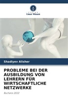 Shadiyev Alisher - PROBLEME BEI DER AUSBILDUNG VON LEHRERN FÜR WIRTSCHAFTLICHE NETZWERKE