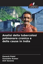 Surendra Kumar, Ganesh Patel, Anil Saxena - Analisi della tubercolosi polmonare cronica e delle cause in India