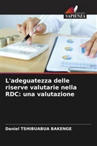 Daniel TSHIBUABUA BAKENGE - L'adeguatezza delle riserve valutarie nella RDC: una valutazione