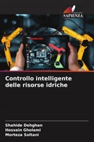 Shahide Dehghan, Hossein Gholami, Morteza Soltani - Controllo intelligente delle risorse idriche