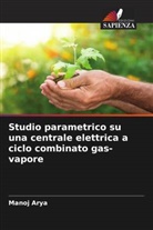 Manoj Arya - Studio parametrico su una centrale elettrica a ciclo combinato gas-vapore