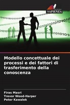Peter Kawalek, Firas Masri, Trevor Wood-Harper - Modello concettuale dei processi e dei fattori di trasferimento della conoscenza