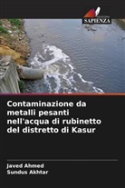 Javed Ahmed, Sundus Akhtar - Contaminazione da metalli pesanti nell'acqua di rubinetto del distretto di Kasur