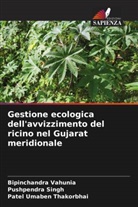 Pushpendra Singh, Patel Umaben Thakorbhai, Bipinchandra Vahunia - Gestione ecologica dell'avvizzimento del ricino nel Gujarat meridionale