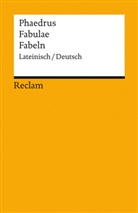 Phaedrus, Carolin Ritter - Fabulae / Fabeln. Lateinisch/Deutsch