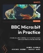 Ashwin Pajankar, Sandeep Saini, Abhishek Sharma - BBC Micro