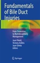 Victoria Ardiles, Juan Glinka, Juan Pekolj - Fundamentals of Bile Duct Injuries