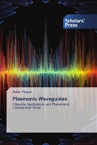 Sahar Pasyar - Plasmonic Waveguides