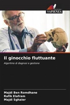 Majdi Ben Romdhane, Rafik Elafram, Majdi Sghaier - Il ginocchio fluttuante