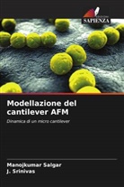 Manojkumar Salgar, J. Srinivas - Modellazione del cantilever AFM