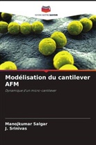 Manojkumar Salgar, J. Srinivas - Modélisation du cantilever AFM