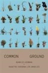 Adam Silverman - Common Ground