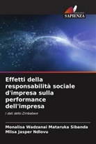 Mlisa Jasper Ndlovu, Monalisa Wadzanai Mataruka Sibanda - Effetti della responsabilità sociale d'impresa sulla performance dell'impresa