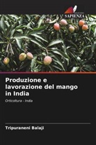 Tripuraneni Balaji - Produzione e lavorazione del mango in India